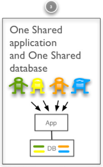 MultiTenant_OneShared_application_OneShare_Database